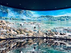 -中国湿地博物馆