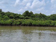 -东寨港红树林旅游区