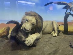 -国家自然博物馆