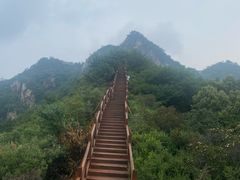 -大岭沟猕猴桃谷风景区