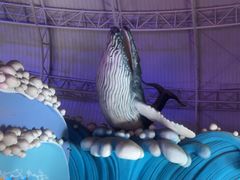 -烟台海昌鲸鲨海洋公园