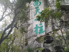 -椿记烧鹅(叠彩店)