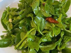 生态田七苗-春来和(汉城南路店)