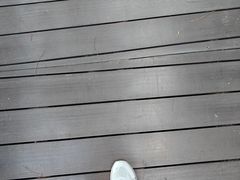 -神光山国家森林公园