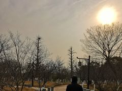 -八大山人梅湖景区