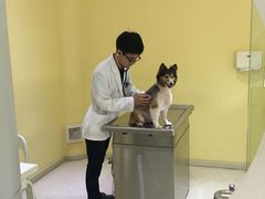 -顽皮家族宠物医院(浦东北园路分院)