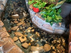 -嘉禾·悦享餐厅(八方汇店)