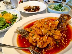 松鼠桂鱼-羲和雅苑•北京烤鸭(平安国际金融中心店)