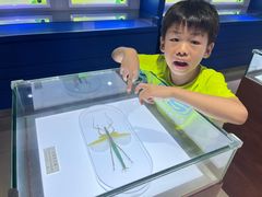 -上海昆虫博物馆