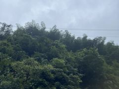 -将军关探险漂流