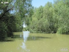 -大湾区中央湿地公园