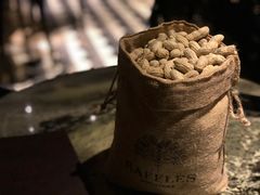 -Long Bar(莱佛士酒店)