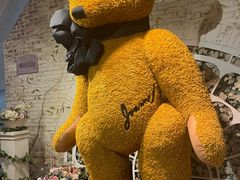 -济州岛泰迪熊博物馆