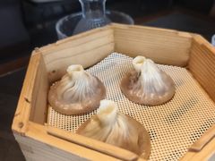 -小厨娘金榜题名(夫子庙秦淮河店)