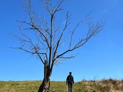 -硗碛藏寨·神木垒景区