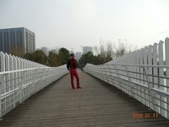 -南翔镇银翔湖公园