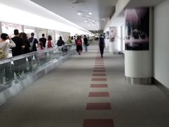 -中部国际机场