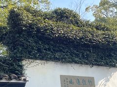 -西湖游船