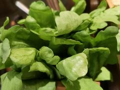 -盡膳口福跷脚牛肉火锅(合生汇购物中心店)