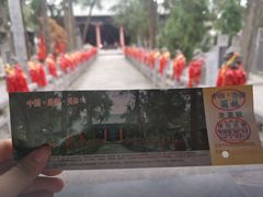 -关林