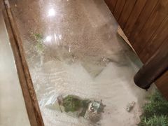 -蜀大侠火锅(四川北路店)
