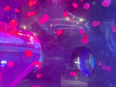 -南昌融创海世界