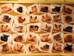 -龙猫仔乐园(惠福东路店)