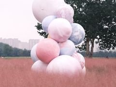 -汉长安城未央宫国家考古遗址公园