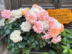 -老门东历史文化街区