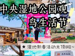 -大湾区中央湿地公园