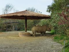 -宁波野生动物园