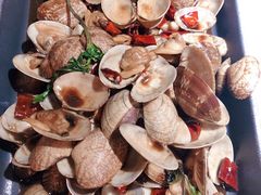 大盘花蛤-新发现(苏州中心商场店)