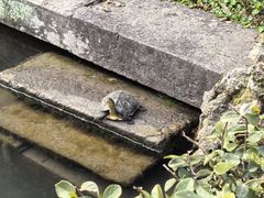 -宁波市保国寺古建筑博物馆