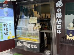 -猫的魔法密林(衣裳街店)