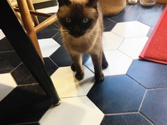 -About Bistro關於·泰式家庭料理