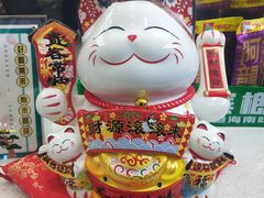 -常来茶·水果研究所(西溪里店)