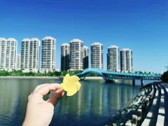 -五缘湾湿地公园