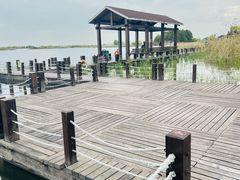 -苏州太湖湖滨国家湿地公园