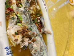 -胖大姐黄辣丁鱼庄(新津店)