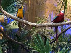 -杭州开元森泊度假乐园