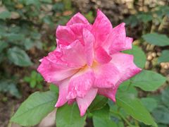 -共青国家森林公园-南大门停车场