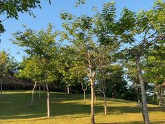 -白石龙音乐公园