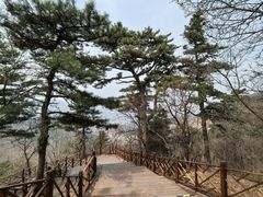 -大芦花风景区