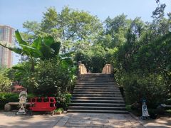 -晓港公园