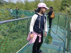 -陶祖圣境风景区