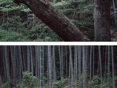 -黄公望隐居地