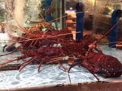-阿伟海鲜楼·福建菜(延寿店)