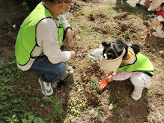 -重庆长寿碧桂园凤悦凤凰酒店