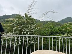 -世间香境·七溪地