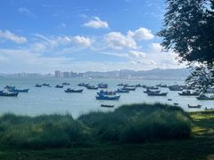 -海源公园